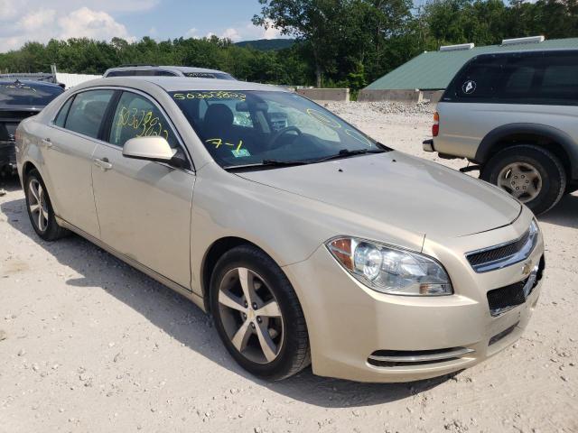 CHEVROLET MALIBU 1LT 2011 with VIN 1G1ZC5EU1BF137366 - Photo from auction