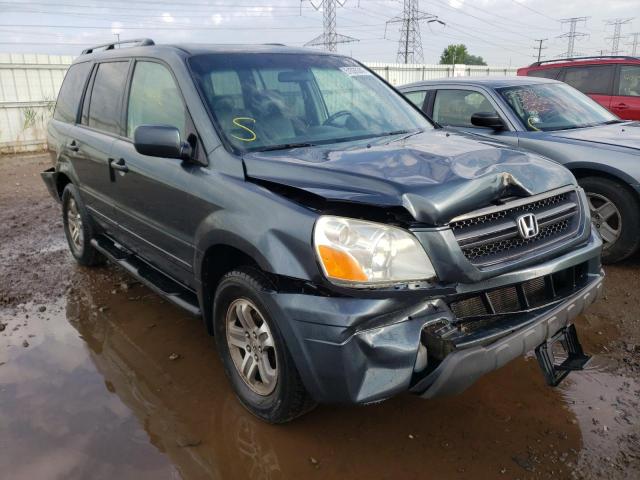HONDA PILOT EXL 2005 with VIN 5FNYF18635B008778 - Photo from auction