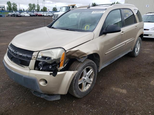 Photo 2 from auction – 2005 CHEVROLET EQUINOX LT with VIN 2CNDL73F156130378