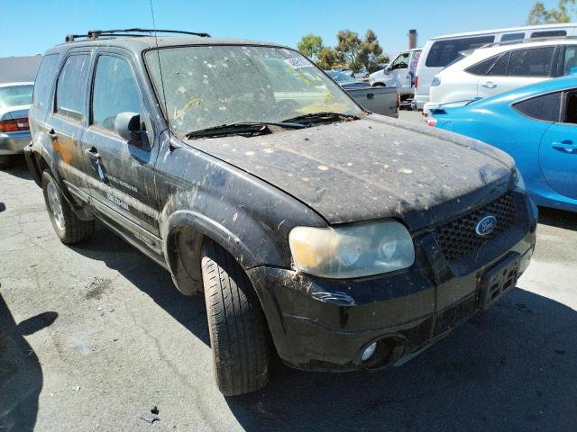 FORD ESCAPE 2007 with VIN 1FMYU04117KA31648 - Photo from auction