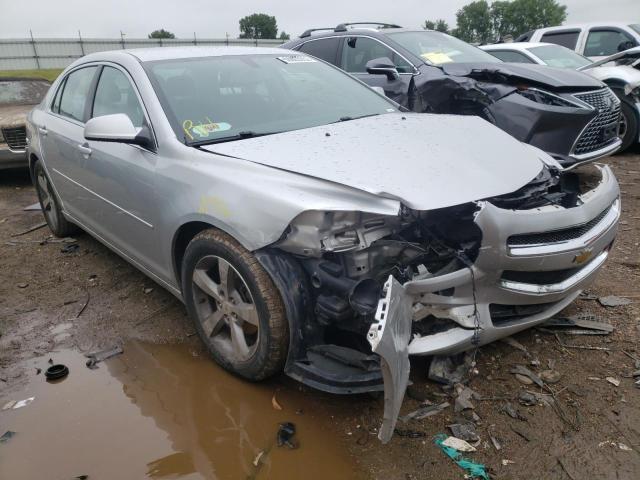 CHEVROLET MALIBU 1LT 2011 with VIN 1G1ZC5E13BF304901 - Photo from auction