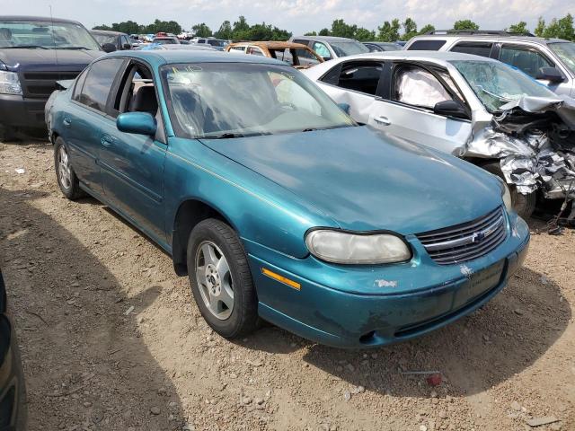 CHEVROLET MALIBU LS 2002 with VIN 1G1NE52JX2M631109 - Photo from auction