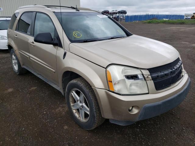 CHEVROLET EQUINOX LT 2005 with VIN 2CNDL73F156130378 - Photo from auction