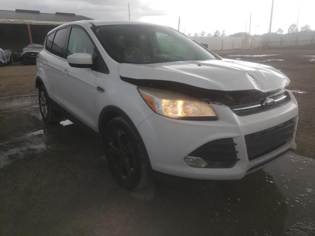 Photo 1 from auction – 2014 FORD ESCAPE SE with VIN 1FMCU0GX9EUC38817