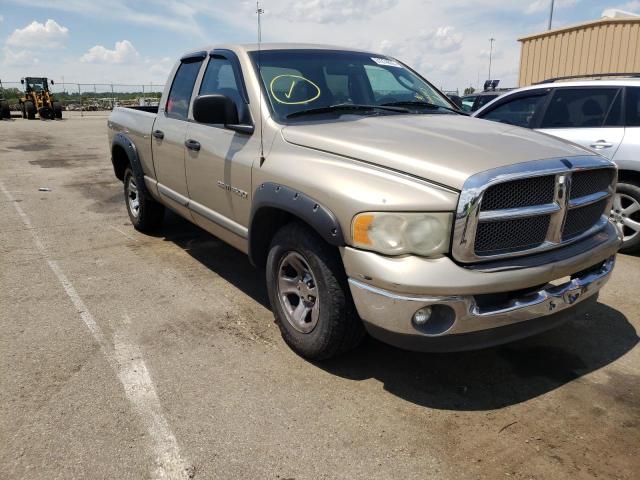 DODGE RAM 1500 2002 with VIN 1B7HA18N62J102843 - Photo from auction