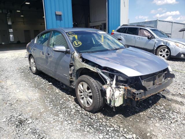 NISSAN ALTIMA HYB 2010 with VIN 1N4CL2AP4AC120630 - Photo from auction
