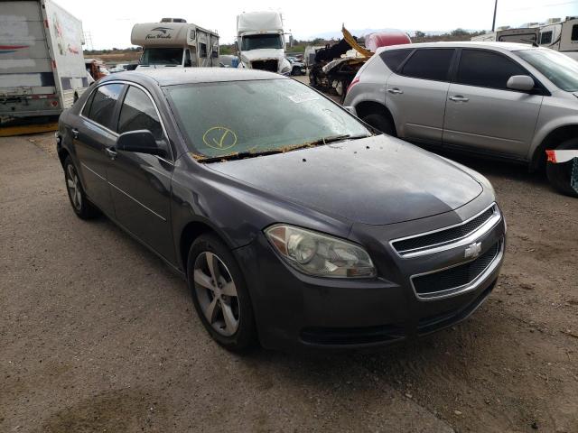 CHEVROLET MALIBU LS 2011 with VIN 1G1ZB5E17BF203170 - Photo from auction