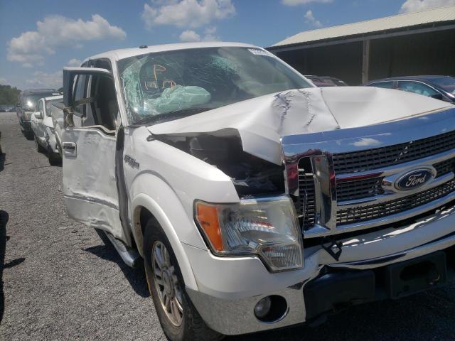 FORD F150 SUPER 2010 with VIN 1FTFX1EV7AFB79460 - Photo from auction
