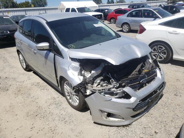 FORD C-MAX SE 2014 with VIN 1FADP5AU0EL504541 - Photo from auction