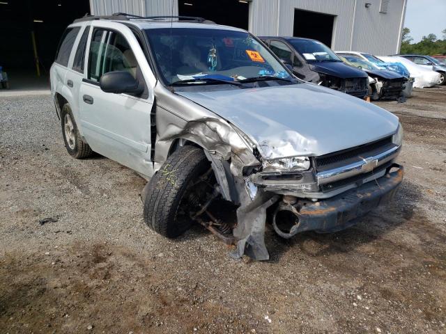 Photo 1 from auction – 2008 CHEVROLET TRAILBLAZE with VIN 1GNDT13S782108585