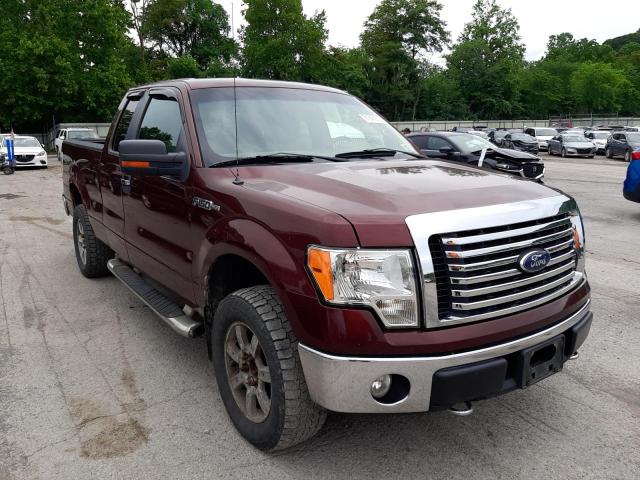 FORD F150 SUPER 2010 with VIN 1FTEX1E86AFA40099 - Photo from auction