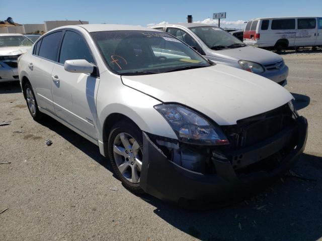 Photo 1 from auction – 2008 NISSAN ALTIMA HYB with VIN 1N4CL21E88C211490