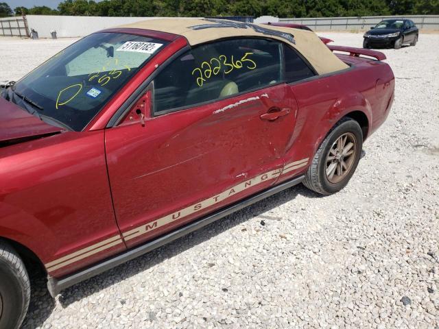 Photo 9 from auction – 2005 FORD MUSTANG with VIN 1ZVFT84N055217531