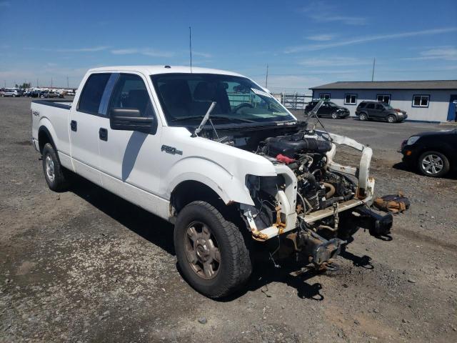FORD F150 SUPER 2010 with VIN 1FTFW1EV7AFD36424 - Photo from auction