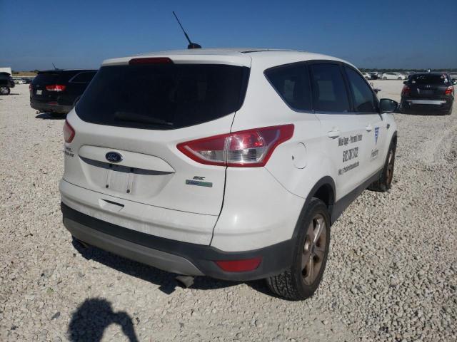 Photo 4 from auction – 2014 FORD ESCAPE SE with VIN 1FMCU0GX7EUB44905