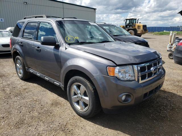 FORD ESCAPE XLT 2010 with VIN 1FMCU0DG7AKC80266 - Photo from auction
