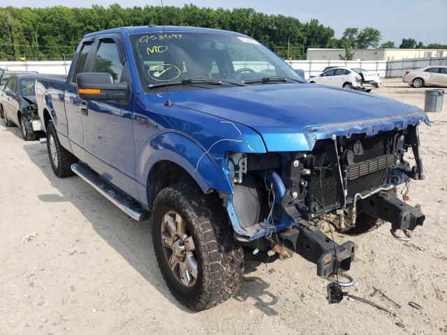 FORD F150 SUPER 2013 with VIN 1FTFX1EF6DKG53497 - Photo from auction
