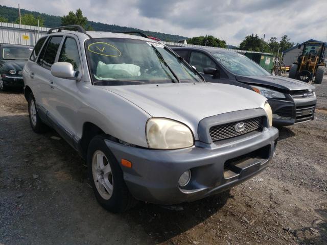 HYUNDAI SANTA FE G 2004 with VIN KM8SC13D64U846633 - Photo from auction