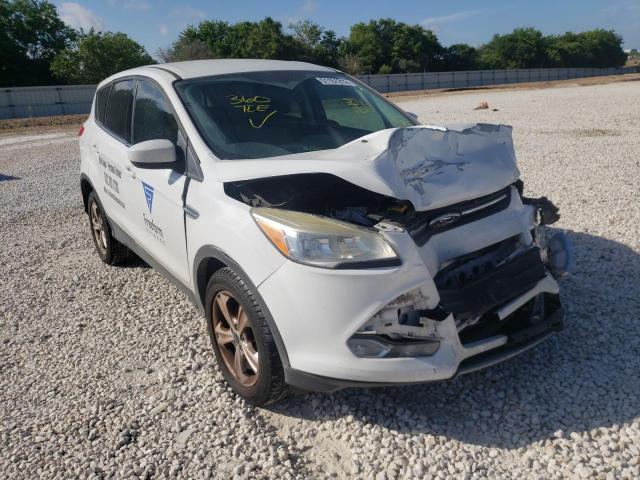 Photo 1 from auction – 2014 FORD ESCAPE SE with VIN 1FMCU0GX7EUB44905