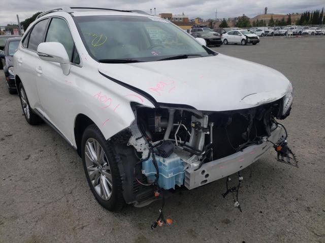 LEXUS RX 350 BAS 2013 with VIN 2T2BK1BA5DC179867 - Photo from auction
