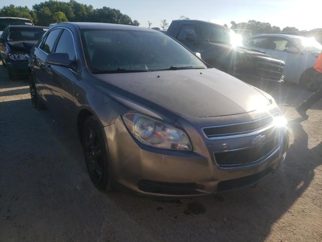 CHEVROLET MALIBU LS 2010 with VIN 1G1ZB5EB3AF100951 - Photo from auction