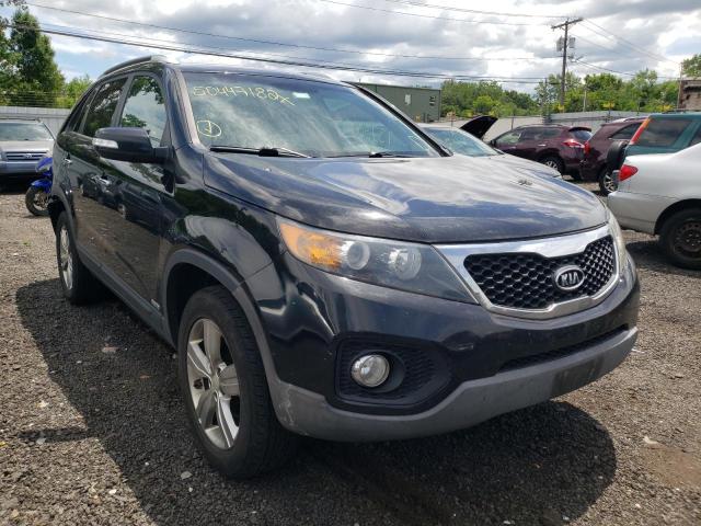 KIA SORENTO EX 2013 with VIN 5XYKUCA63DG407523 - Photo from auction