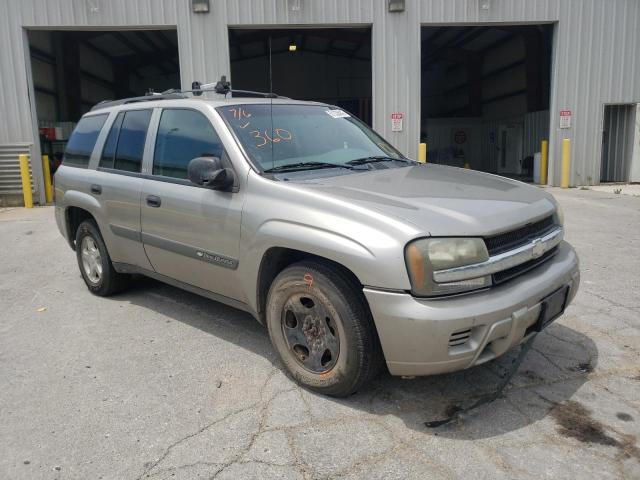 CHEVROLET TRAILBLAZR 2003 with VIN 1GNDT13S532139567 - Photo from auction