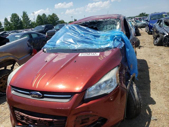 Photo 9 from auction – 2014 FORD ESCAPE SE with VIN 1FMCU0GX8EUB08267