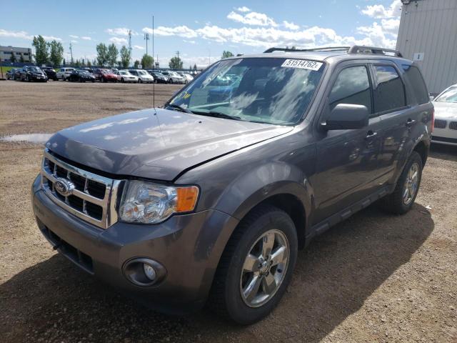 Photo 2 from auction – 2010 FORD ESCAPE XLT with VIN 1FMCU0DG7AKC80266