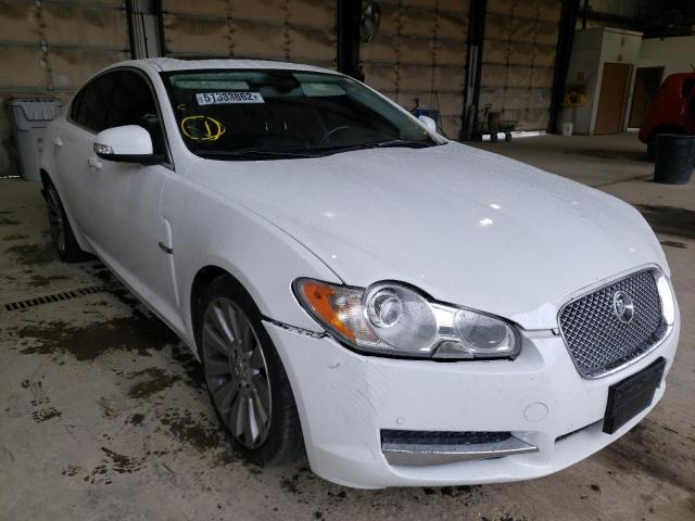 JAGUAR XF PREMIUM 2009 with VIN SAJWA06B89HR03741 - Photo from auction