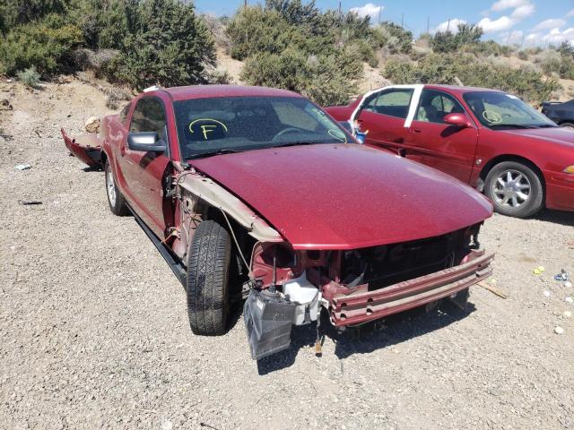 FORD MUSTANG 2005 with VIN 1ZVFT80N255191875 - Photo from auction