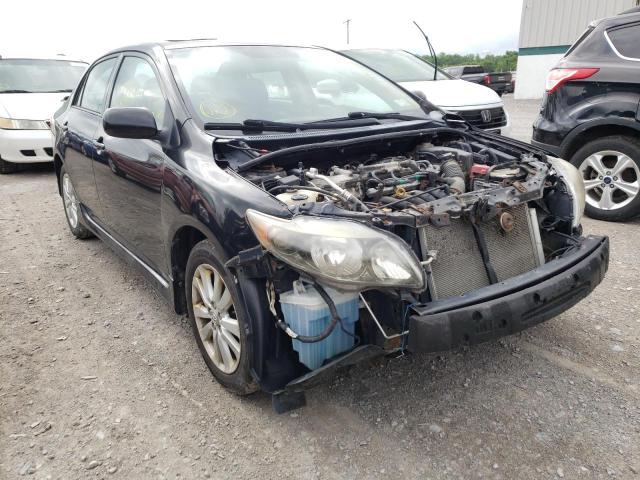 TOYOTA COROLLA BA 2010 with VIN 2T1BU4EE2AC429057 - Photo from auction
