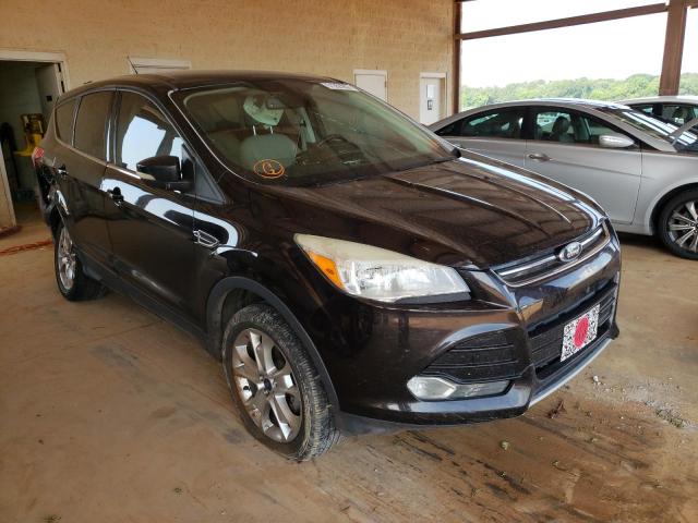 FORD ESCAPE SEL 2013 with VIN 1FMCU0HX6DUC41641 - Photo from auction