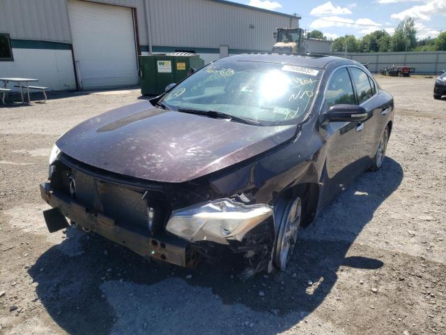 Photo 2 from auction – 2010 NISSAN MAXIMA S with VIN 1N4AA5APXAC845681