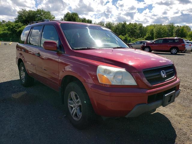 HONDA PILOT EXL 2005 with VIN 5FNYF185X5B016397 - Photo from auction