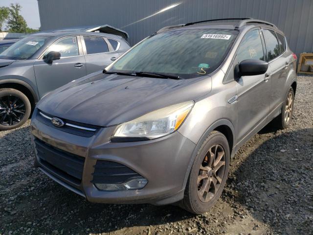 Photo 2 from auction – 2013 FORD ESCAPE SE with VIN 1FMCU0GX8DUB94954