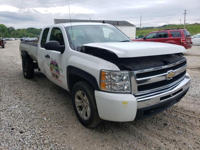 CHEVROLET SILVERADO 2009 with VIN 1GCEC29J49E111879 - Photo from auction