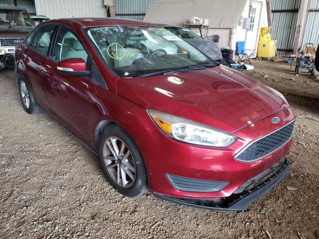 FORD FOCUS SE 2016 with VIN 1FADP3F28GL254190 - Photo from auction