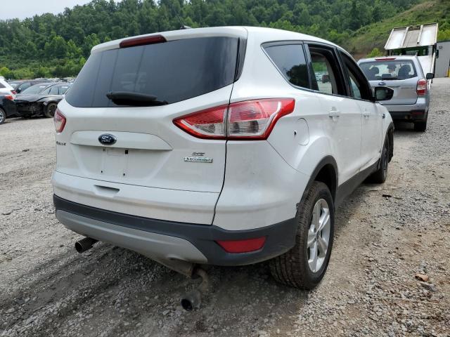 Photo 4 from auction – 2013 FORD ESCAPE SE with VIN 1FMCU0G94DUC56044