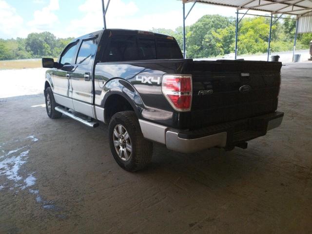 Photo 3 from auction – 2010 FORD F150 SUPER with VIN 1FTEW1E80AFD49036