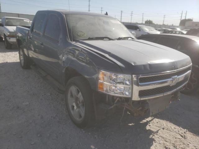 CHEVROLET SILVERADO 2008 with VIN 3GCEC13J18G240818 - Photo from auction