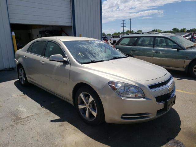 CHEVROLET MALIBU 1LT 2011 with VIN 1G1ZC5E19BF233705 - Photo from auction