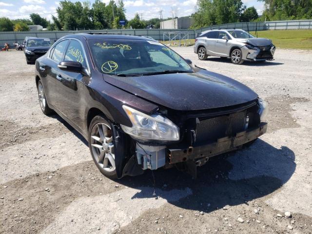 NISSAN MAXIMA S 2010 with VIN 1N4AA5APXAC845681 - Photo from auction