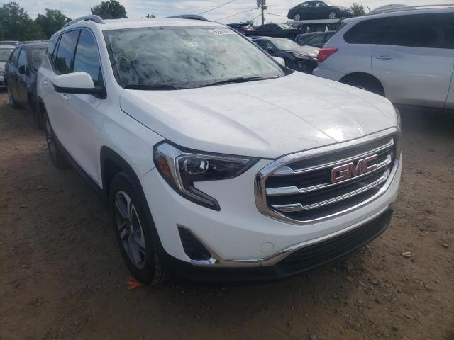 GMC TERRAIN SL 2020 with VIN 3GKALVEV7LL207543 - Photo from auction