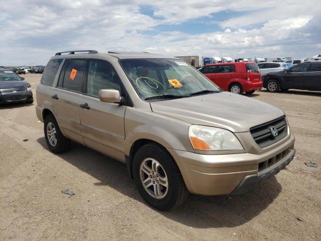 HONDA PILOT EXL 2005 with VIN 5FNYF18565B033987 - Photo from auction