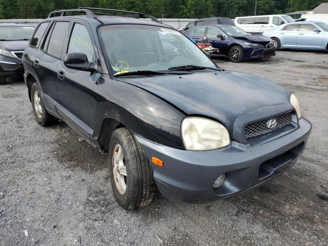 HYUNDAI SANTA FE G 2003 with VIN KM8SC73D63U551307 - Photo from auction