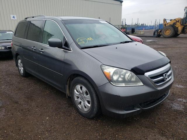 HONDA ODYSSEY EX 2007 with VIN 5FNRL38467B510016 - Photo from auction