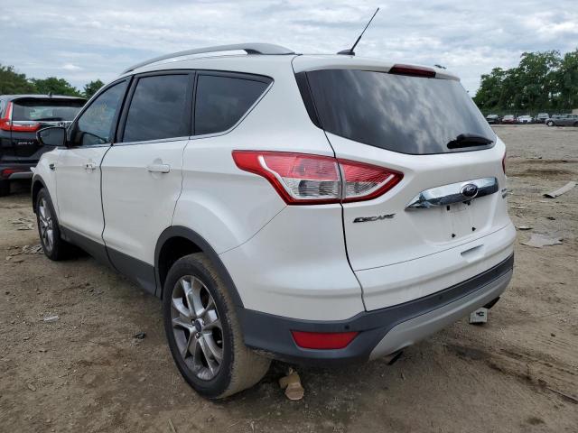 Photo 3 from auction – 2014 FORD ESCAPE TIT with VIN 1FMCU0JX6EUE07183