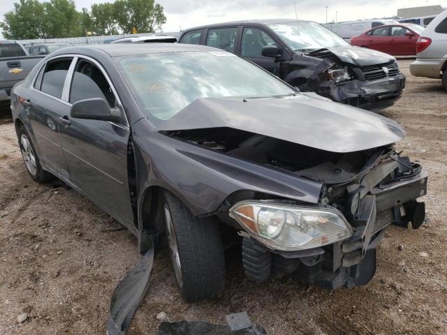 CHEVROLET MALIBU LS 2010 with VIN 1G1ZB5EBXAF228717 - Photo from auction