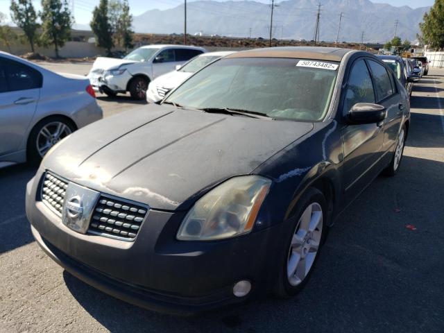 Photo 2 from auction – 2004 NISSAN MAXIMA SE with VIN 1N4BA41E24C910797